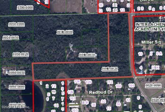 photo 11: S COUNTY ROAD 315, Interlachen FL 32148