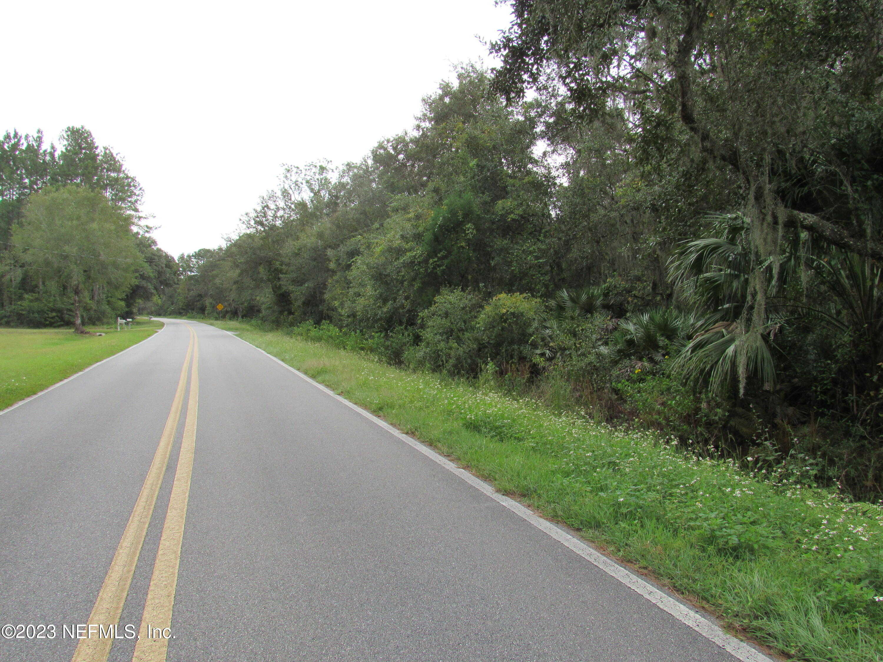 photo 3: JIM BRYANT Road, East Palatka FL 32131