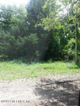 photo 3: 10695 MC LAURIN Road, Jacksonville FL 32256