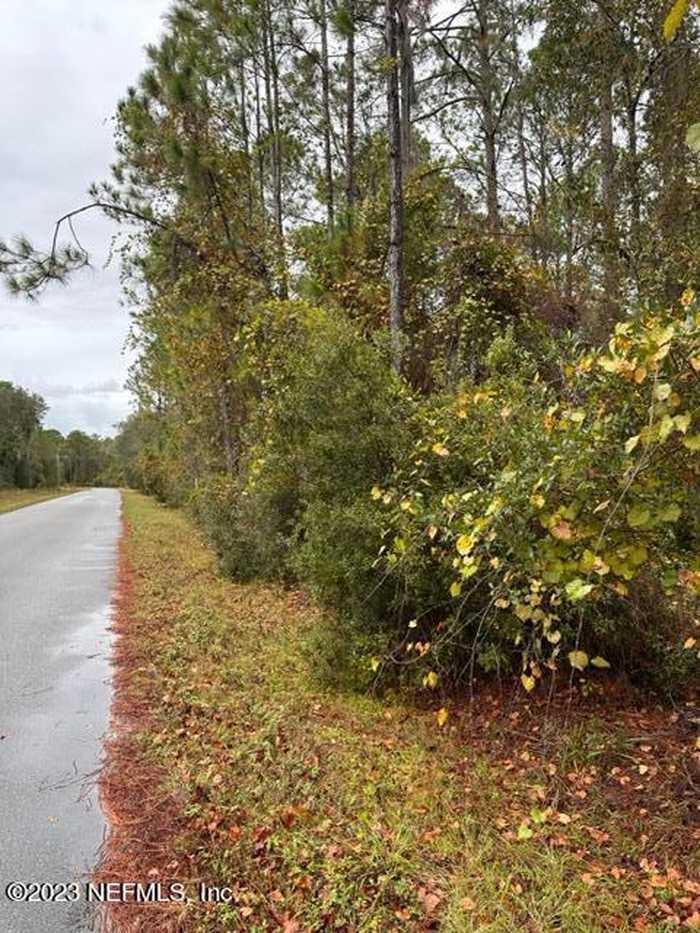 photo 2: 136 LAKEWAY Drive, Georgetown FL 32139