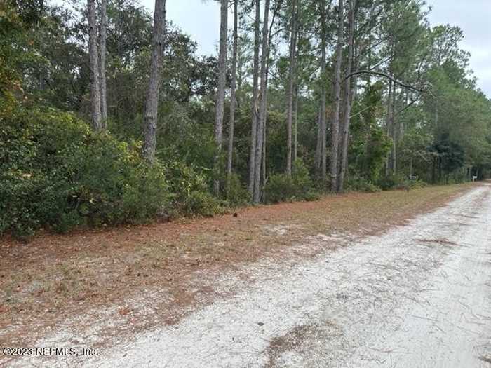 photo 1: 307 LAKEWAY Drive, Georgetown FL 32139