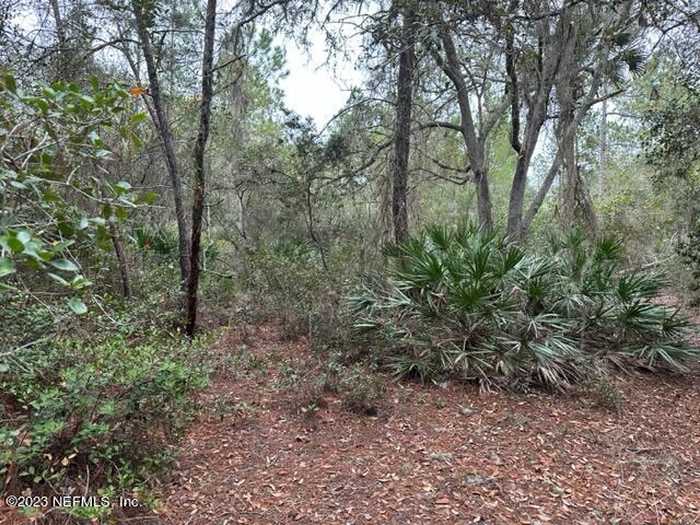 photo 2: 307 LAKEWAY Drive, Georgetown FL 32139