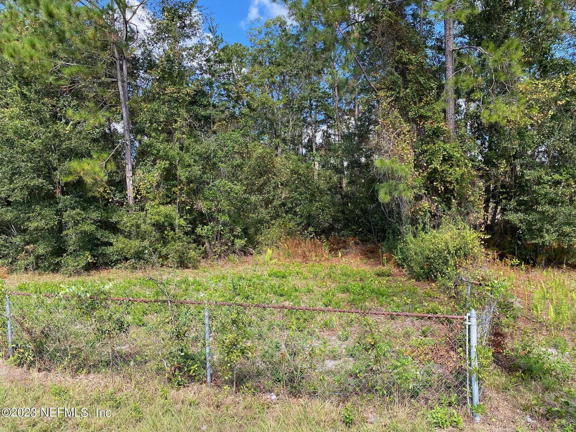 photo 3: TBD FL SR 20 Highway, Interlachen FL 32148