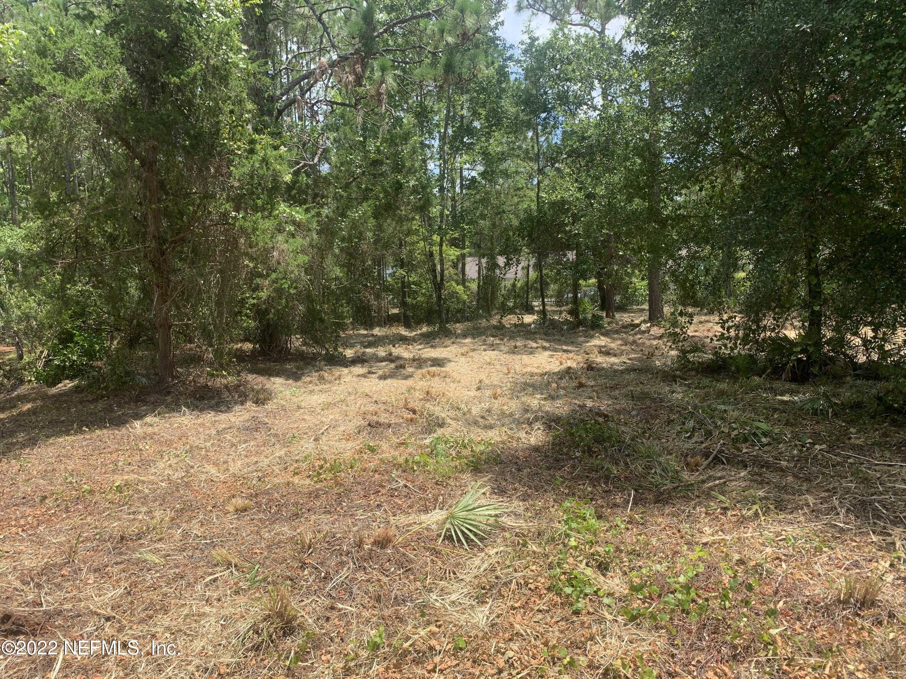 photo 3: 205 VL ZEAGLER Drive, Palatka FL 32177