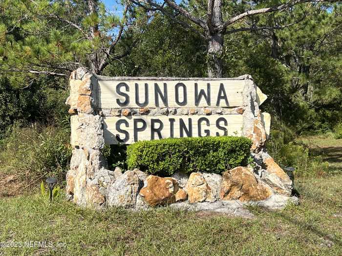 photo 1: SUNOWA SPRINGS Trail, Bryceville FL 32009