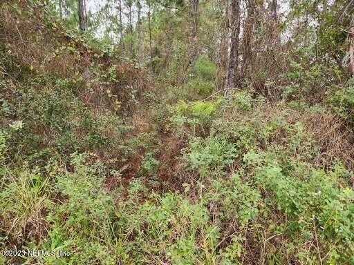 photo 3: 6340 COUNTY RD 315C, Keystone Heights FL 32656