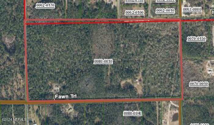 photo 74: 150 FAWN Trail, Palatka FL 32177