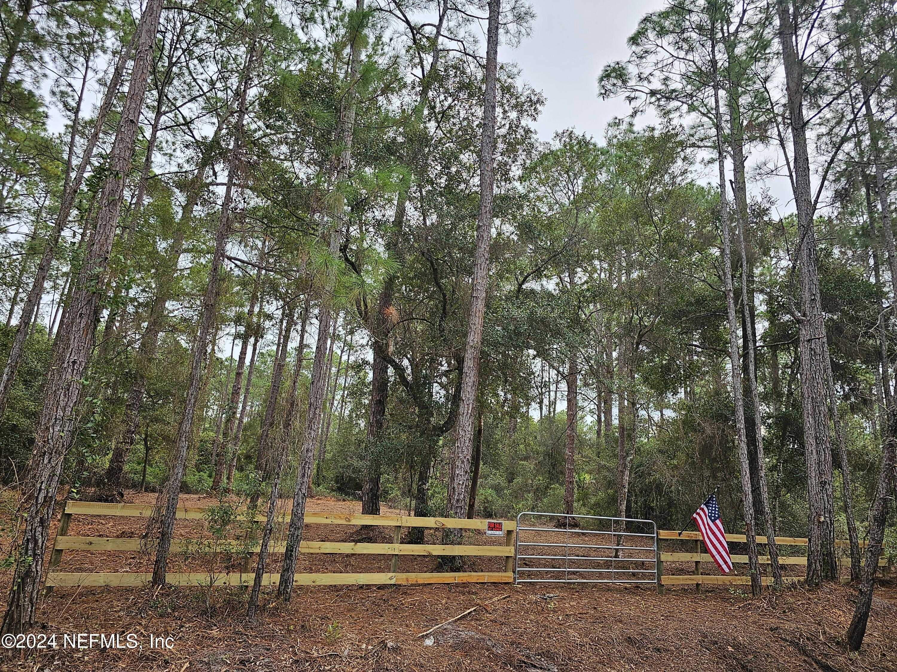 photo 1: 215 NORTHEAST Boulevard, Georgetown FL 32139