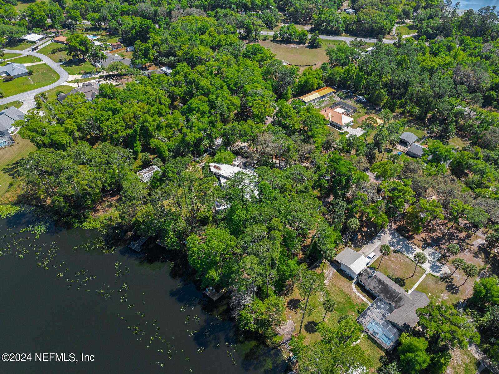 photo 3: 120 HERJA ACRE Lane, Palatka FL 32177