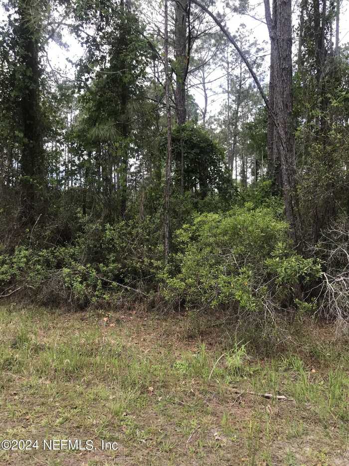 photo 1: 105 NEEDLES Lane, Georgetown FL 32139