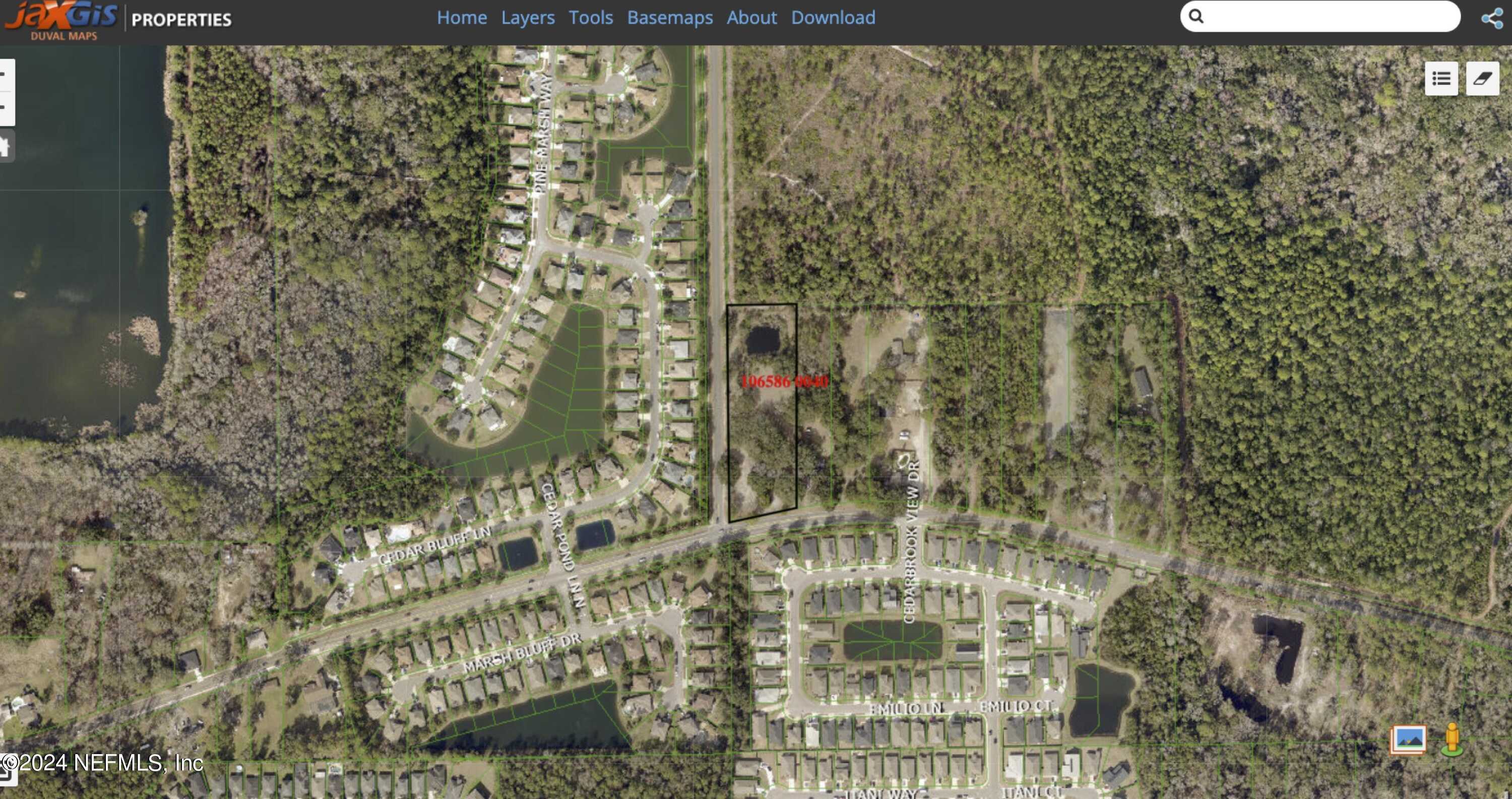 photo 3: 4025 CEDAR POINT Road, Jacksonville FL 32226