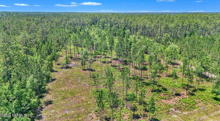 photo 61: 34390 MITIGATION Trail, Callahan FL 32011