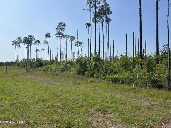 photo 11: COUNTY ROAD 121, Bryceville FL 32009