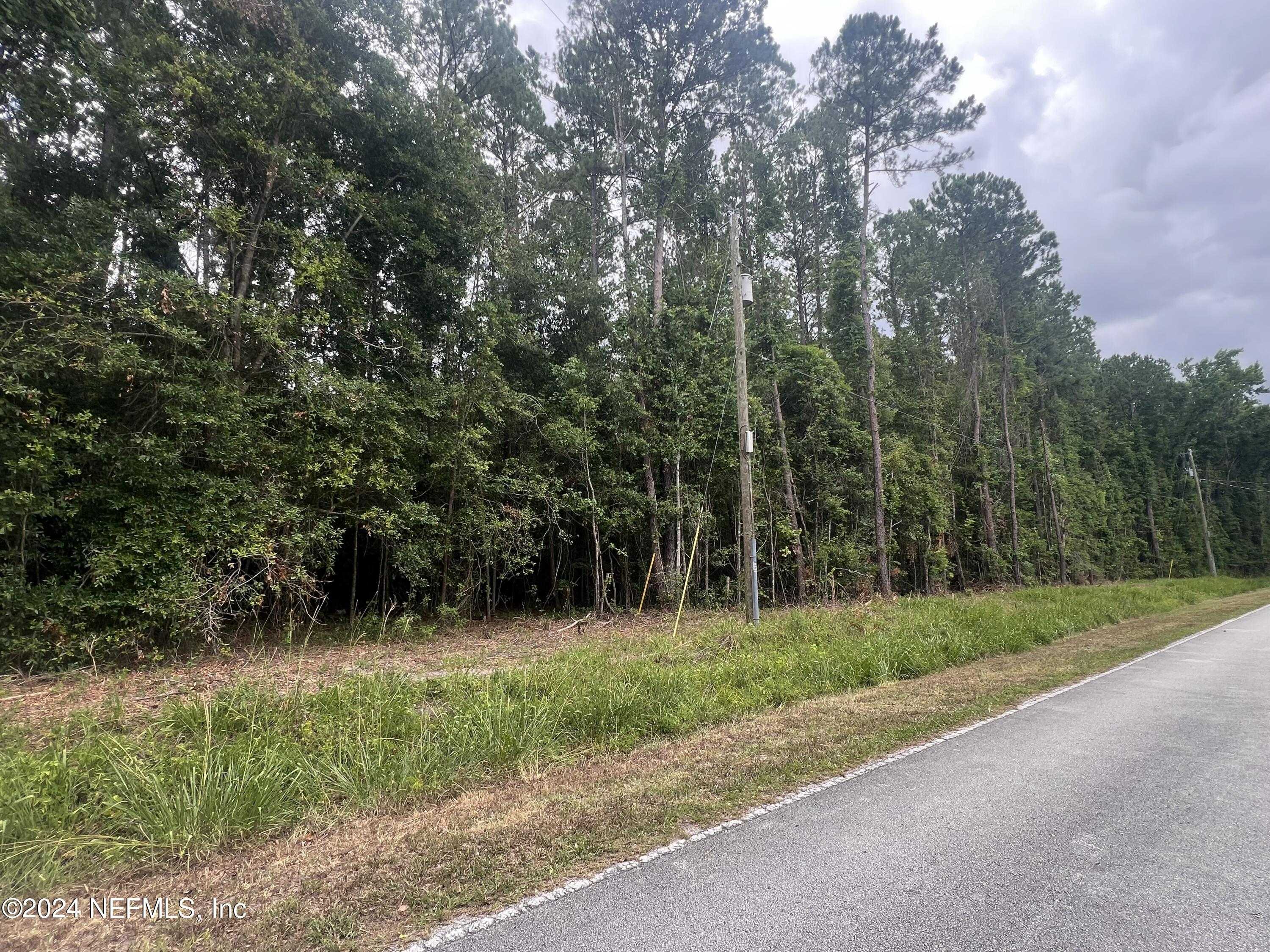 photo 1: LAZY ACRES Road, Middleburg FL 32068