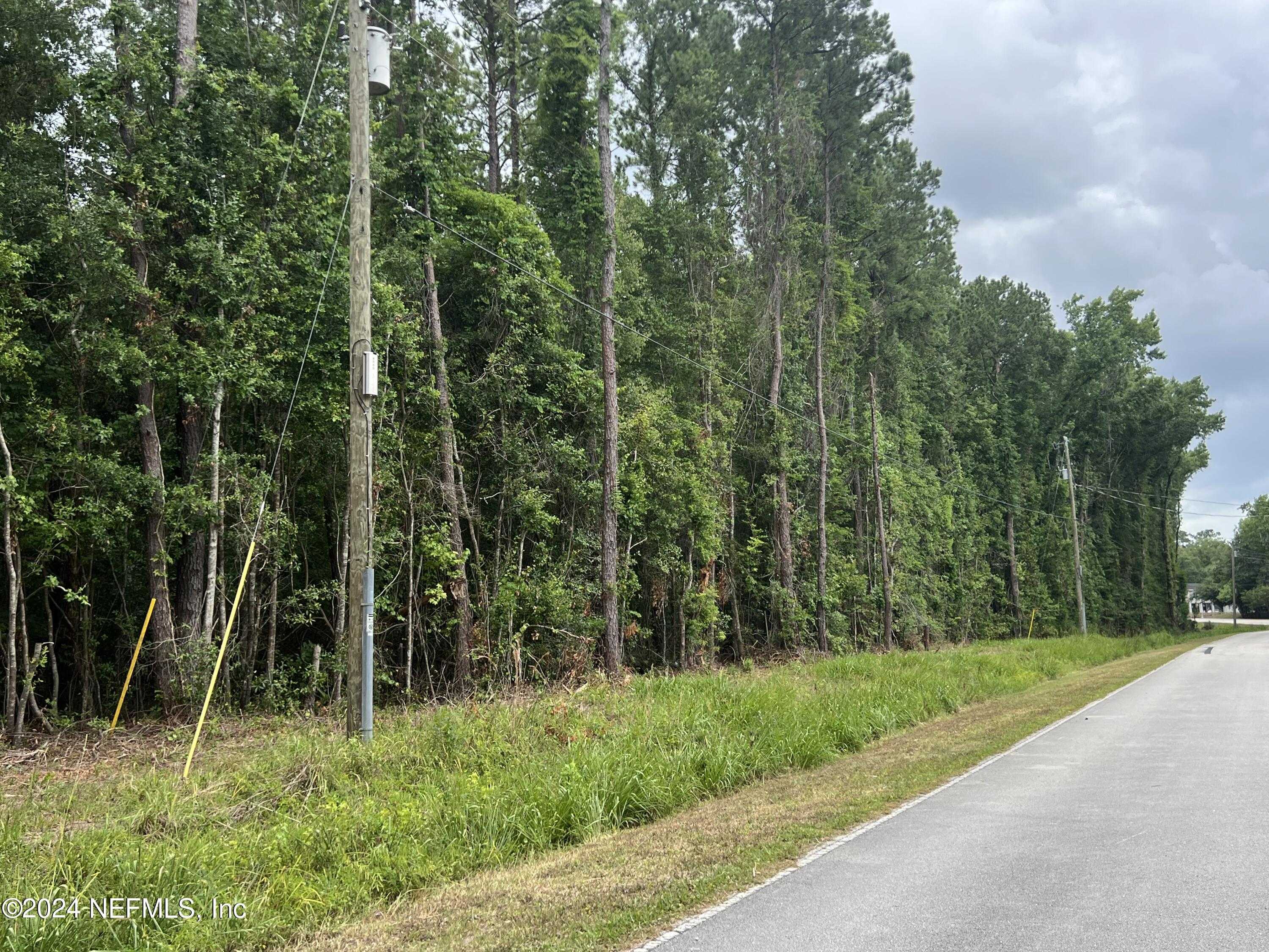 photo 2: LAZY ACRES Road, Middleburg FL 32068