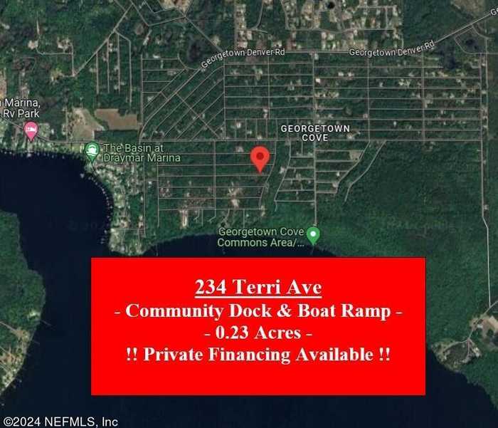 photo 1: 234 TERRI Avenue, Georgetown FL 32139