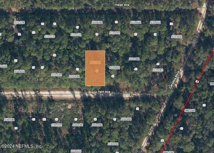 photo 2: 234 TERRI Avenue, Georgetown FL 32139