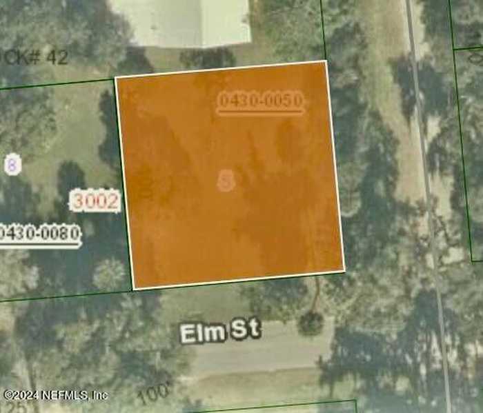 photo 2: 3000 ELM Street, Welaka FL 32189