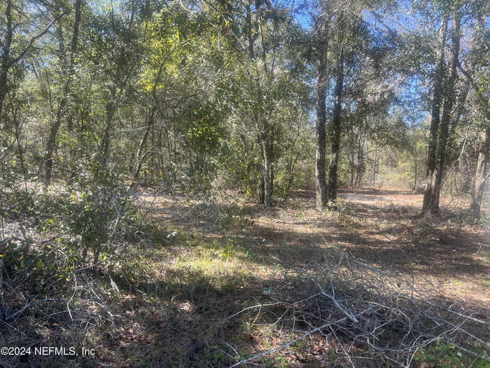 photo 1: 109 PINE Trail, Melrose FL 32666