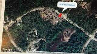 photo 3: 115 SANDPIPER Lane, Georgetown FL 32139