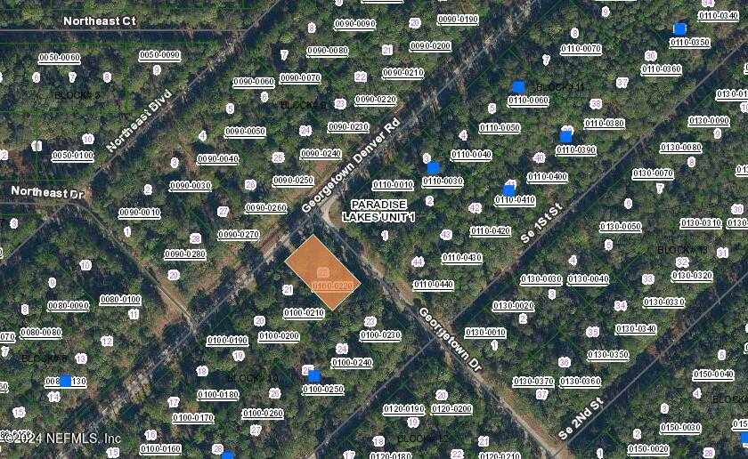 photo 1: LOT 22 GEORGETOWN DENVER Road, Georgetown FL 32139