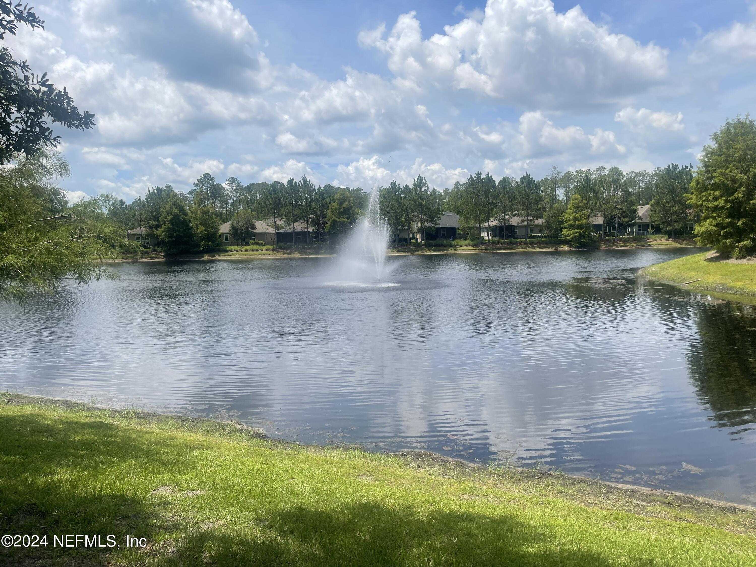 photo 1: 262 WHITE MARSH Drive, Jacksonville FL 32081