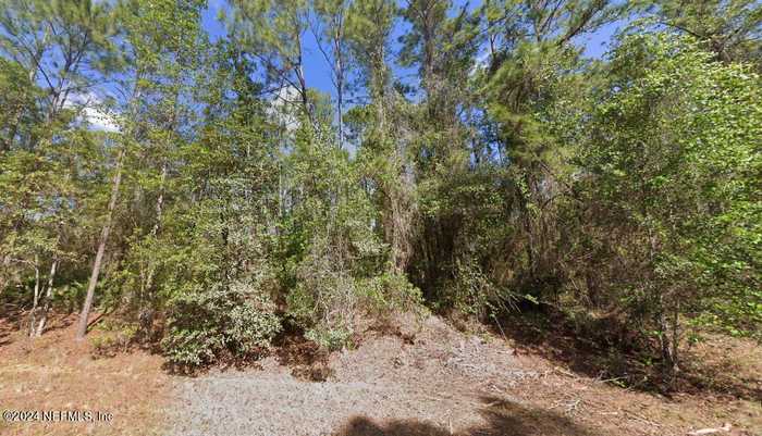 photo 1: 130 MARIE Avenue, Georgetown FL 32139