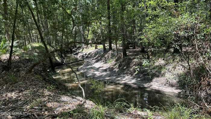 photo 16: LOT 1 US HWY 301, Bryceville FL 32209