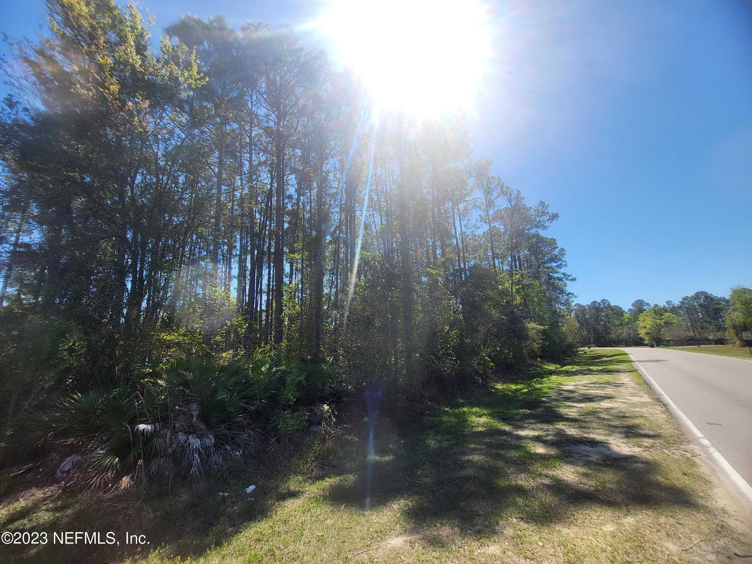 photo 1: 2111 HIBISCUS Avenue, Middleburg FL 32068