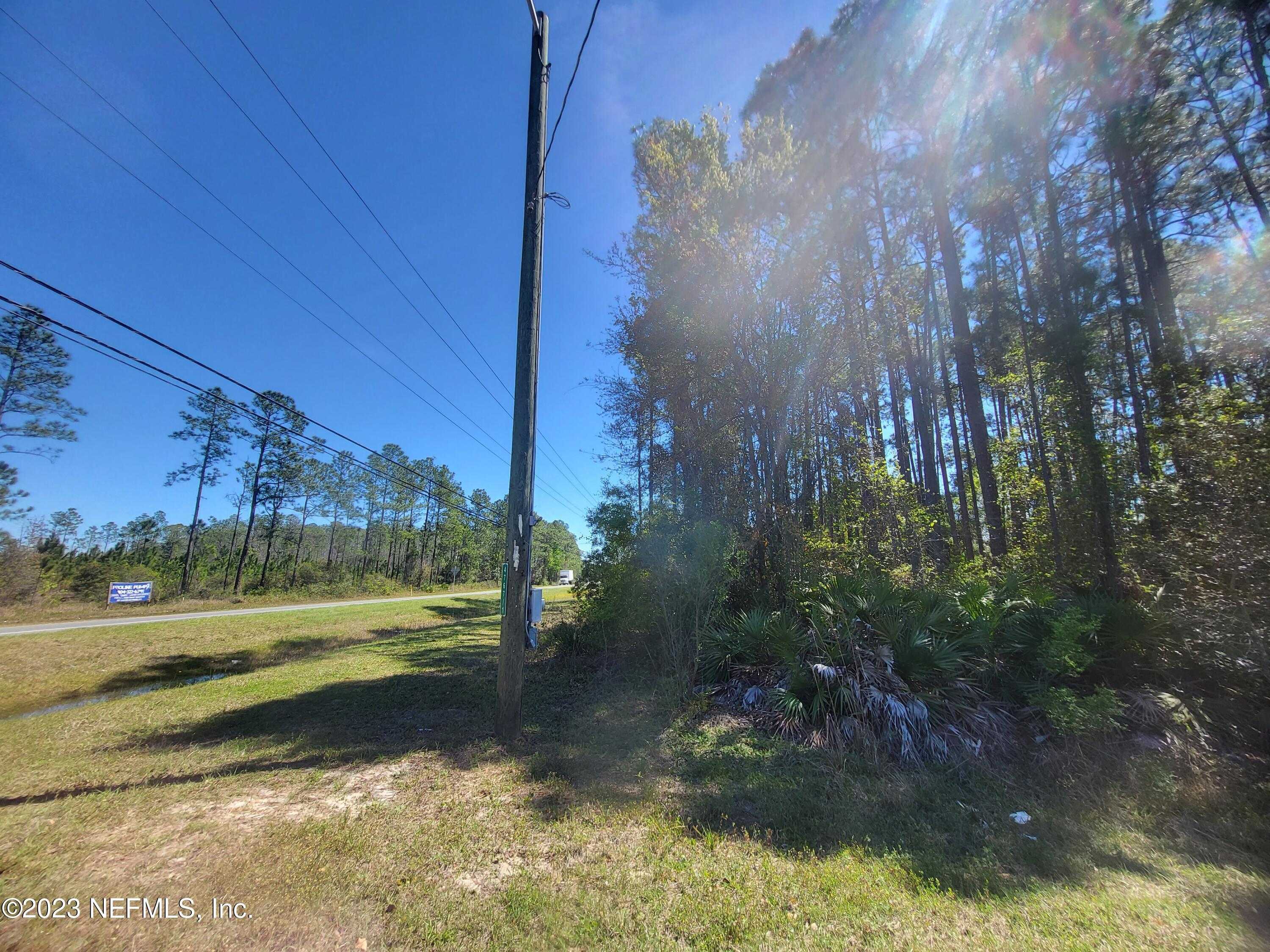 photo 2: 2111 HIBISCUS Avenue, Middleburg FL 32068