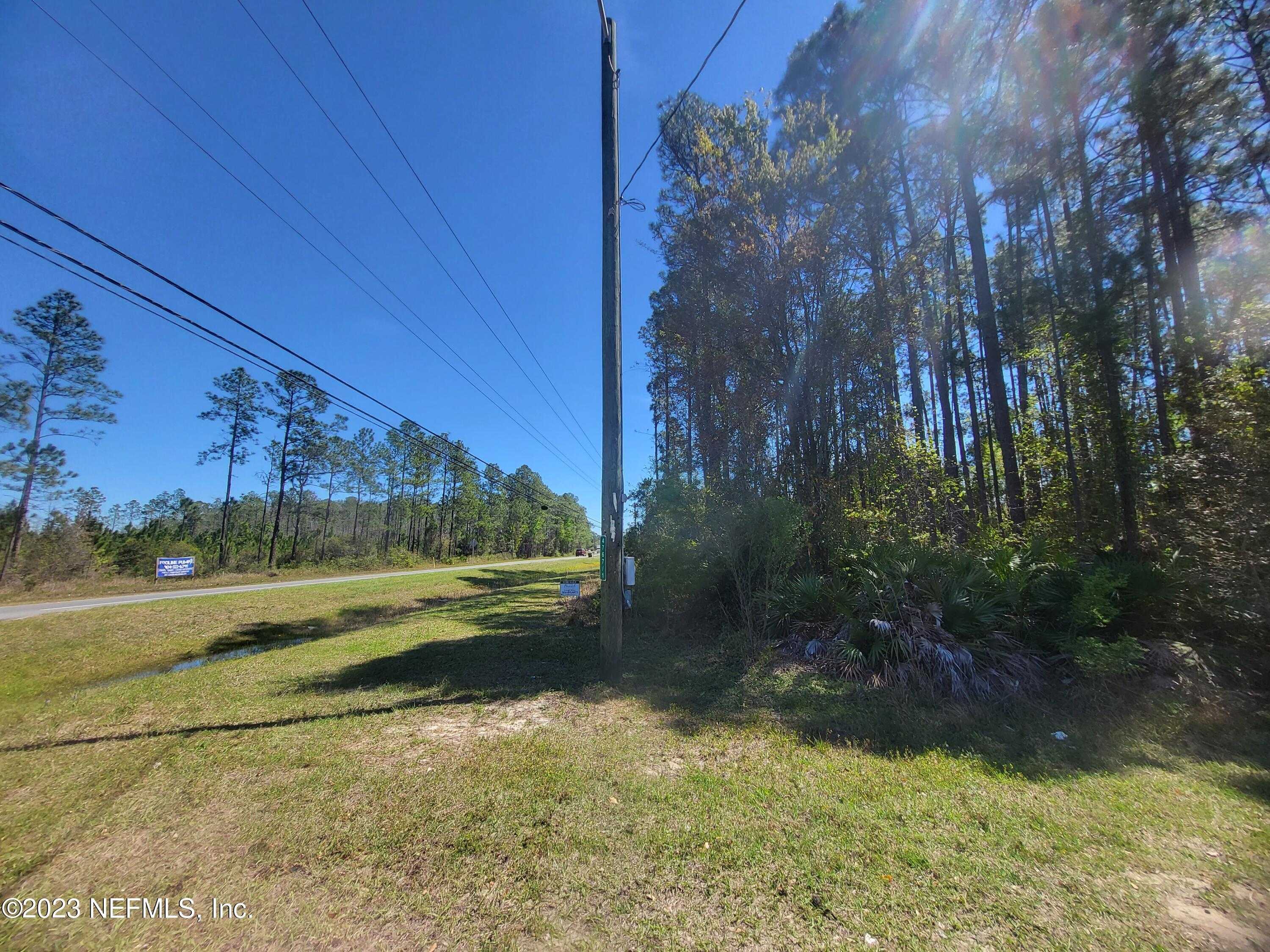 photo 3: 2111 HIBISCUS Avenue, Middleburg FL 32068