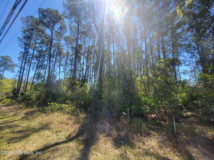 photo 7: 2111 HIBISCUS Avenue, Middleburg FL 32068