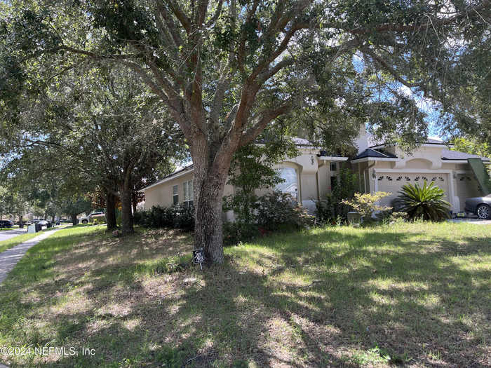 photo 3: 461 CLEARVIEW Court, Orange Park FL 32065