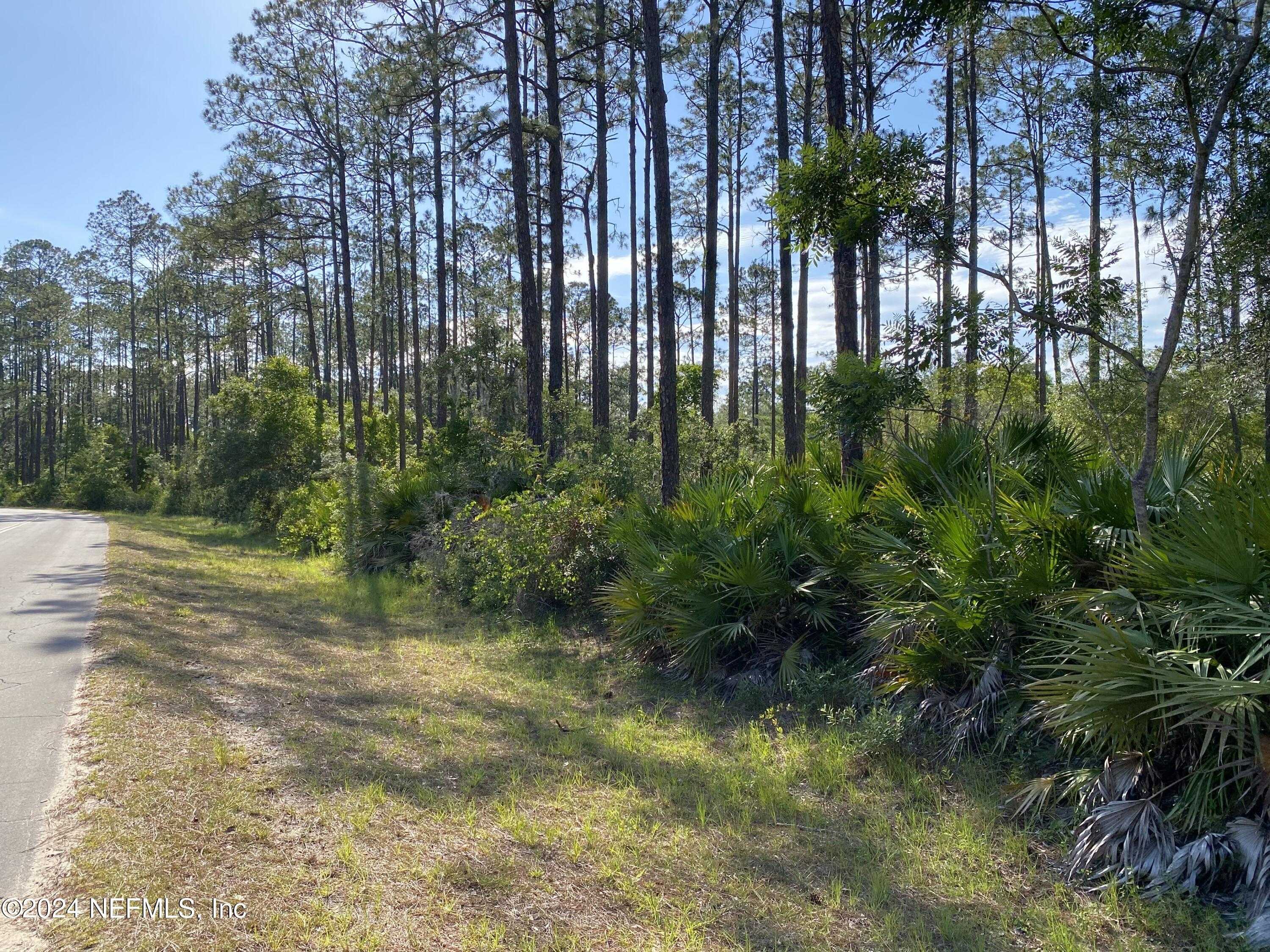 photo 1: LOT 8 WALLACE Street, Interlachen FL 32148