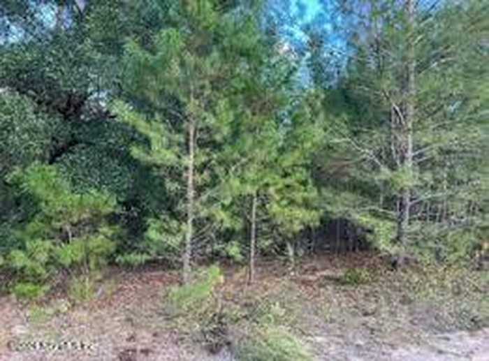 photo 1: 218 WILLOW Trail, Palatka FL 32177