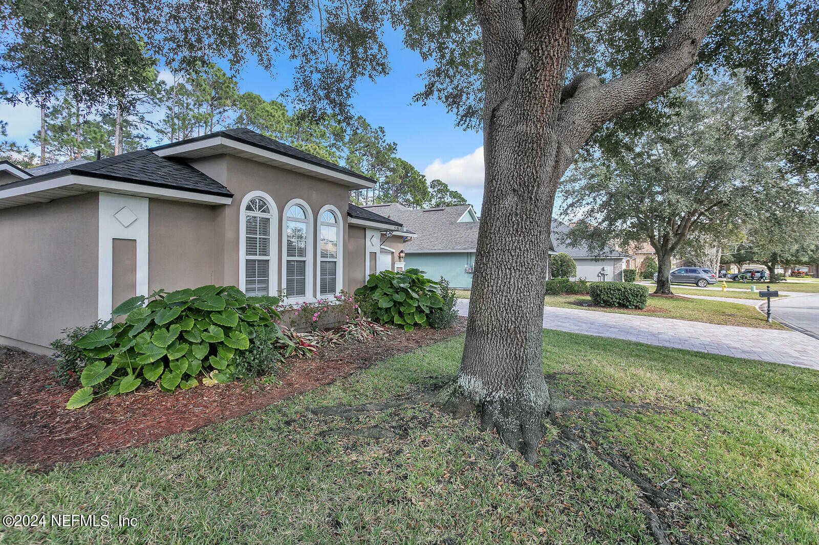 photo 2: 13781 SHADY WOODS Street N, Jacksonville FL 32224