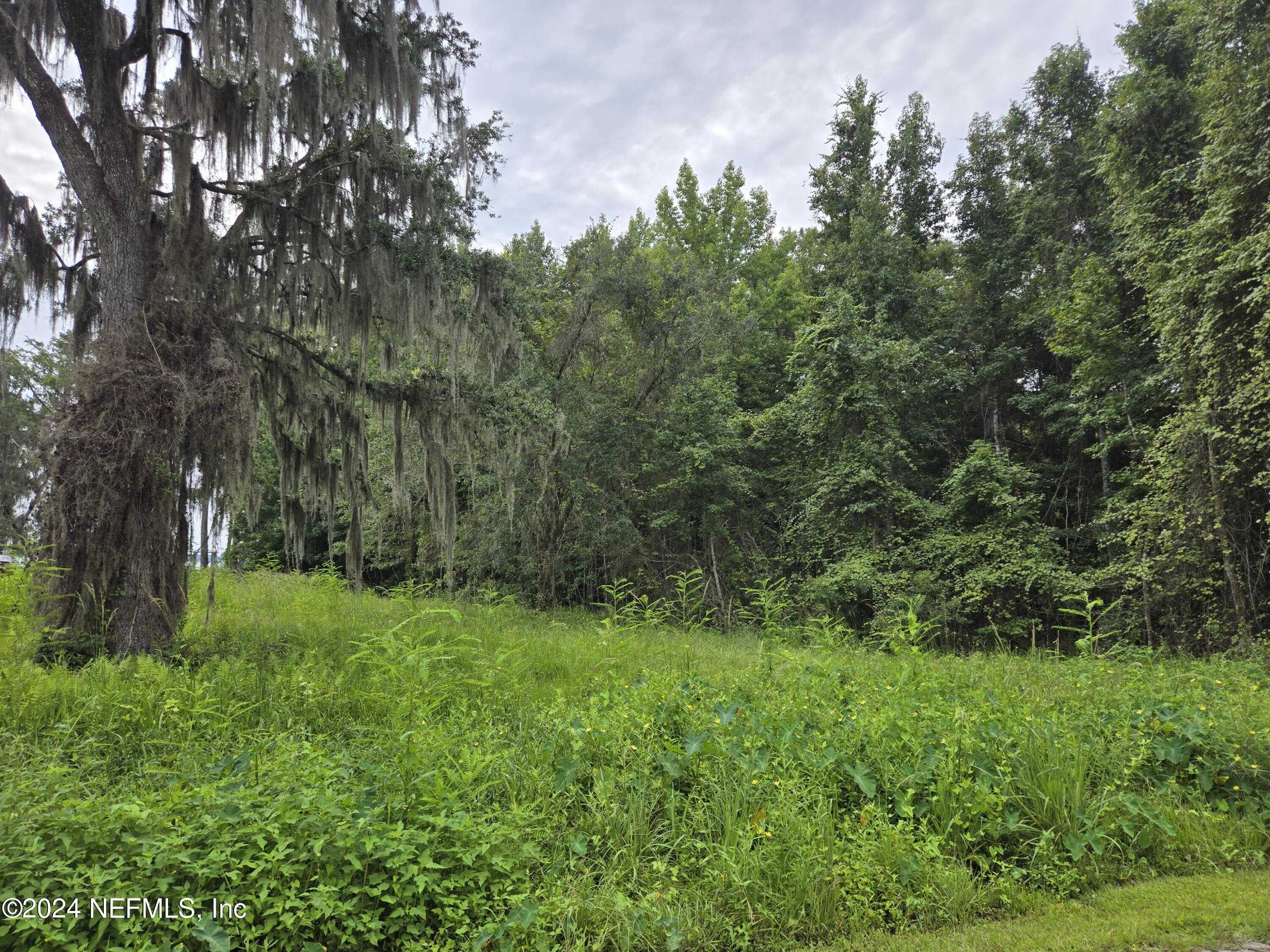 photo 2: 352 EAGLE CREEK Road, Palatka FL 32043