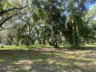 photo 1: GREENWOOD Avenue, Welaka FL 32193