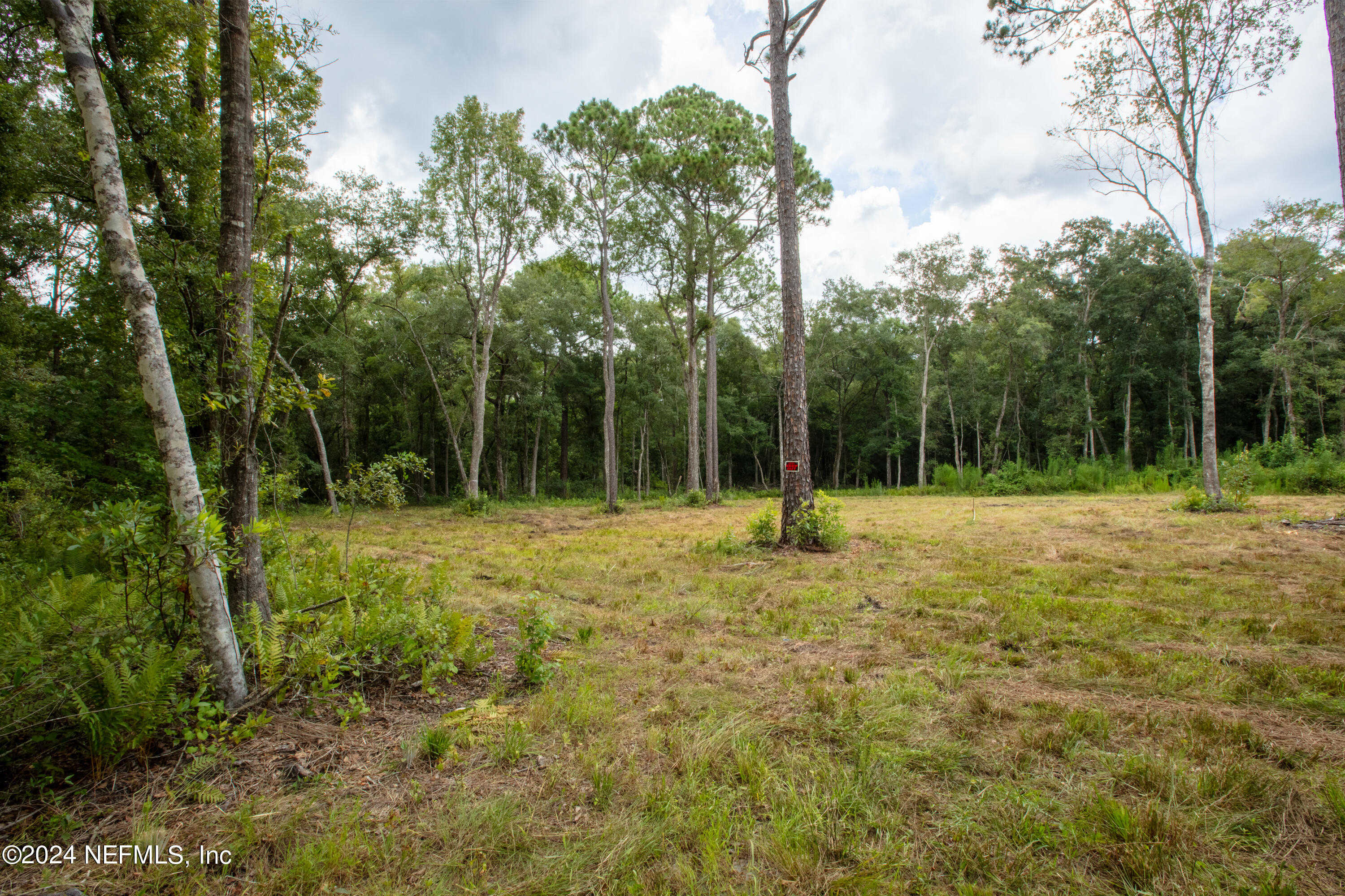 photo 3: JONES CREEK Road, Keystone Heights FL 32656