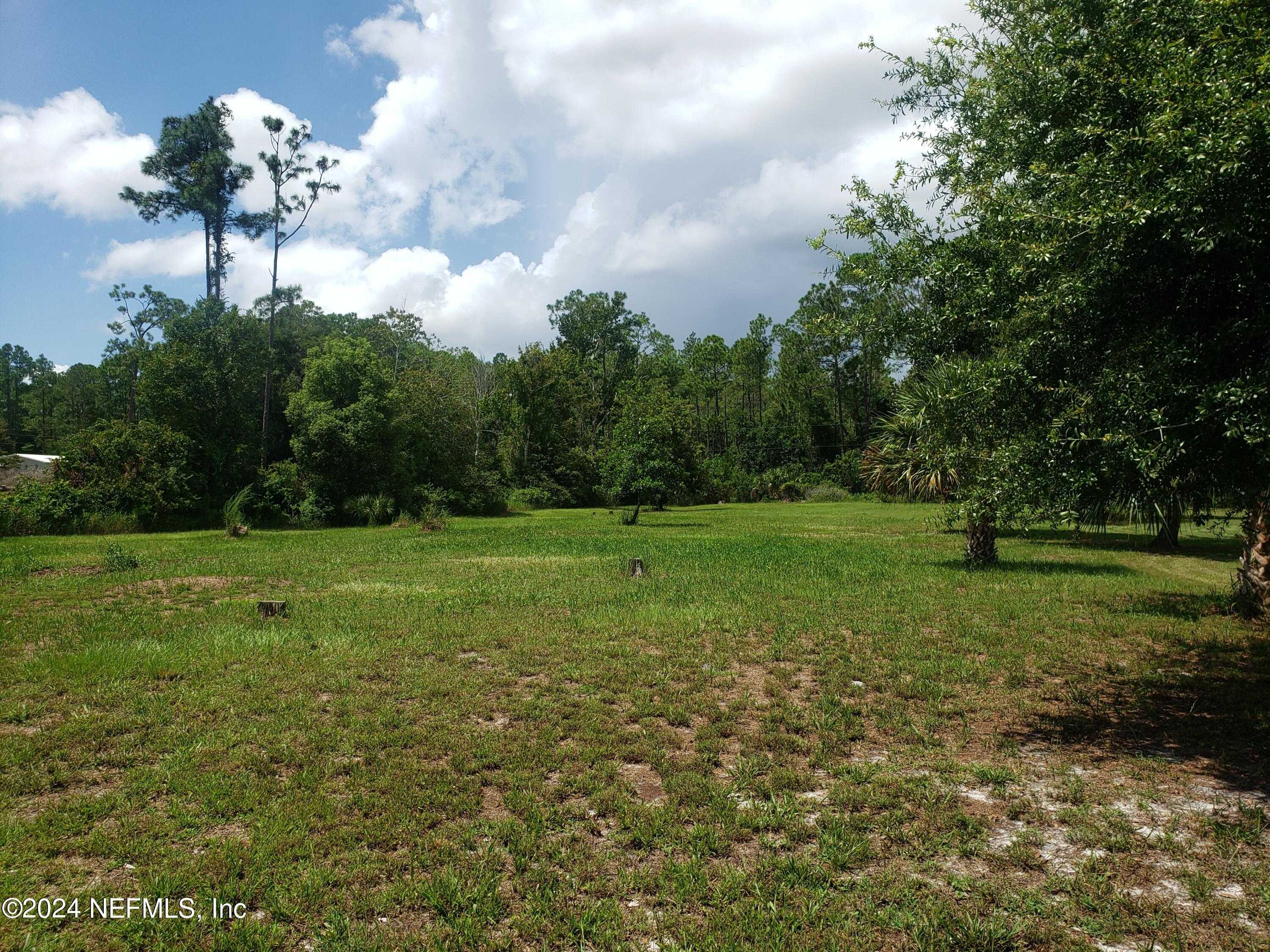 photo 1: OSCEOLA Road, Georgetown FL 32139