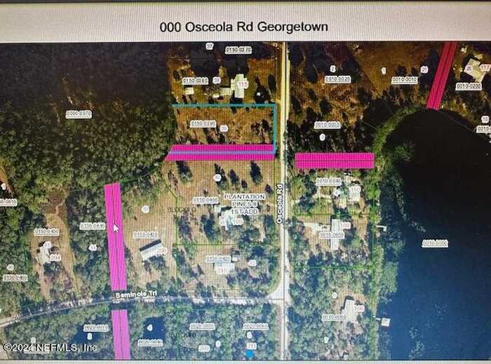 photo 10: OSCEOLA Road, Georgetown FL 32139