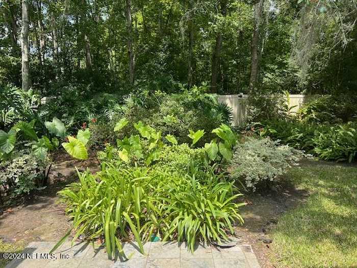 photo 7: 2217 HAMMOCK OAKS Drive N, Jacksonville FL 32223