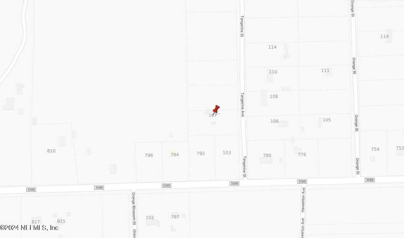 photo 1: 107 TANGERINE Street, Pomona Park FL 32181