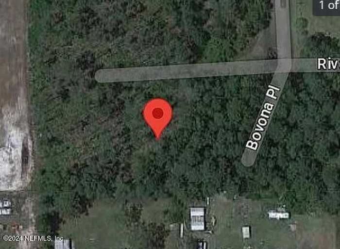 photo 8: 123 BOVONA Place, Palatka FL 32177