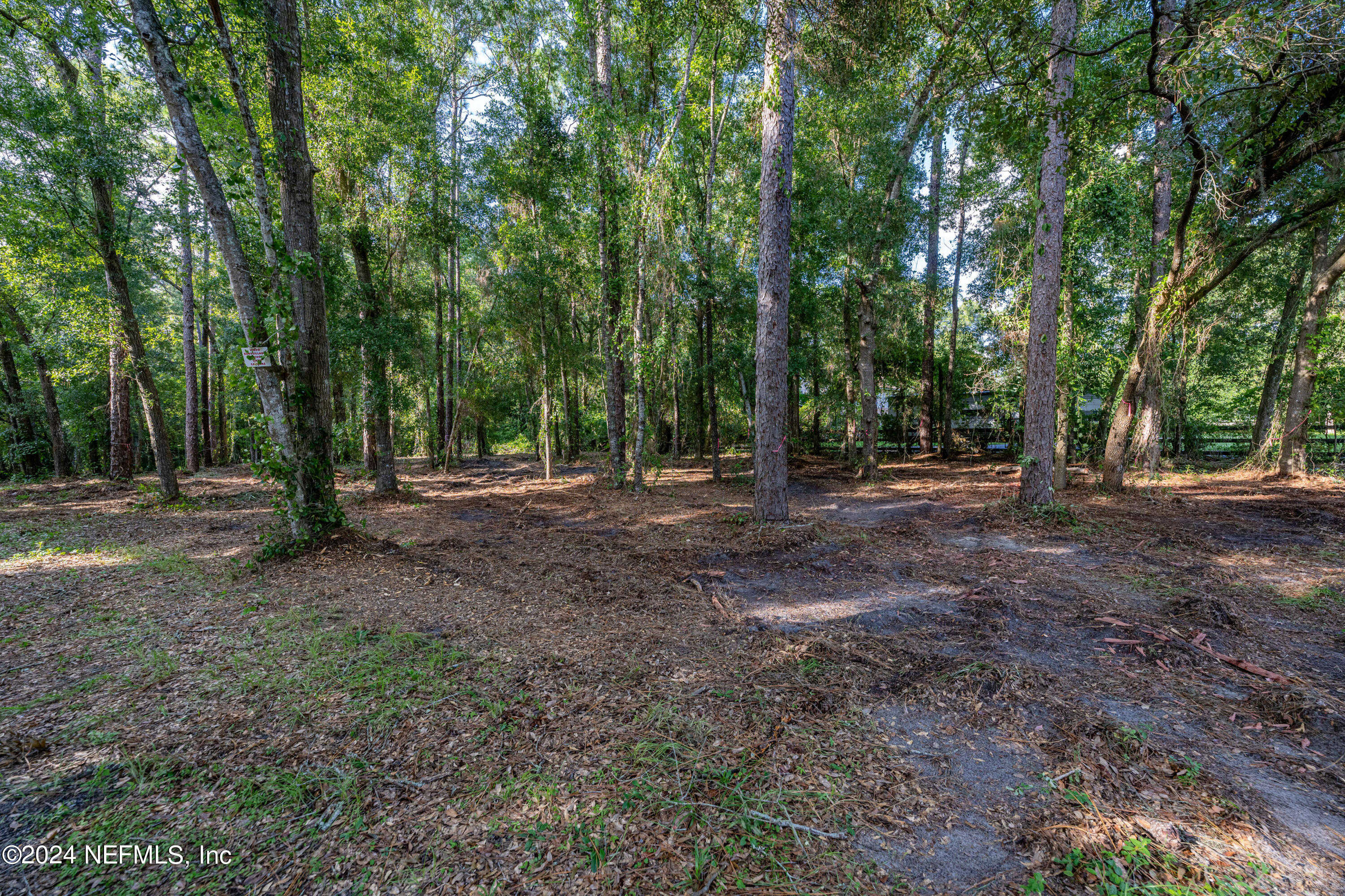 photo 3: CLEARWATER Lane, Jacksonville FL 32223