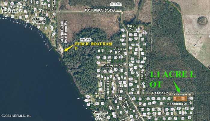 photo 1: 135 DESOTO Drive, Florahome FL 32140