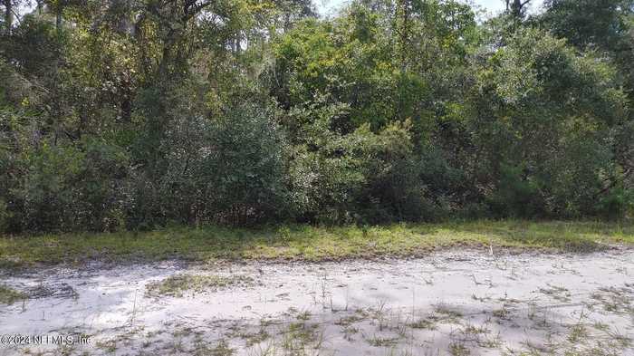 photo 2: 209 OCALA Court, Georgetown FL 32139