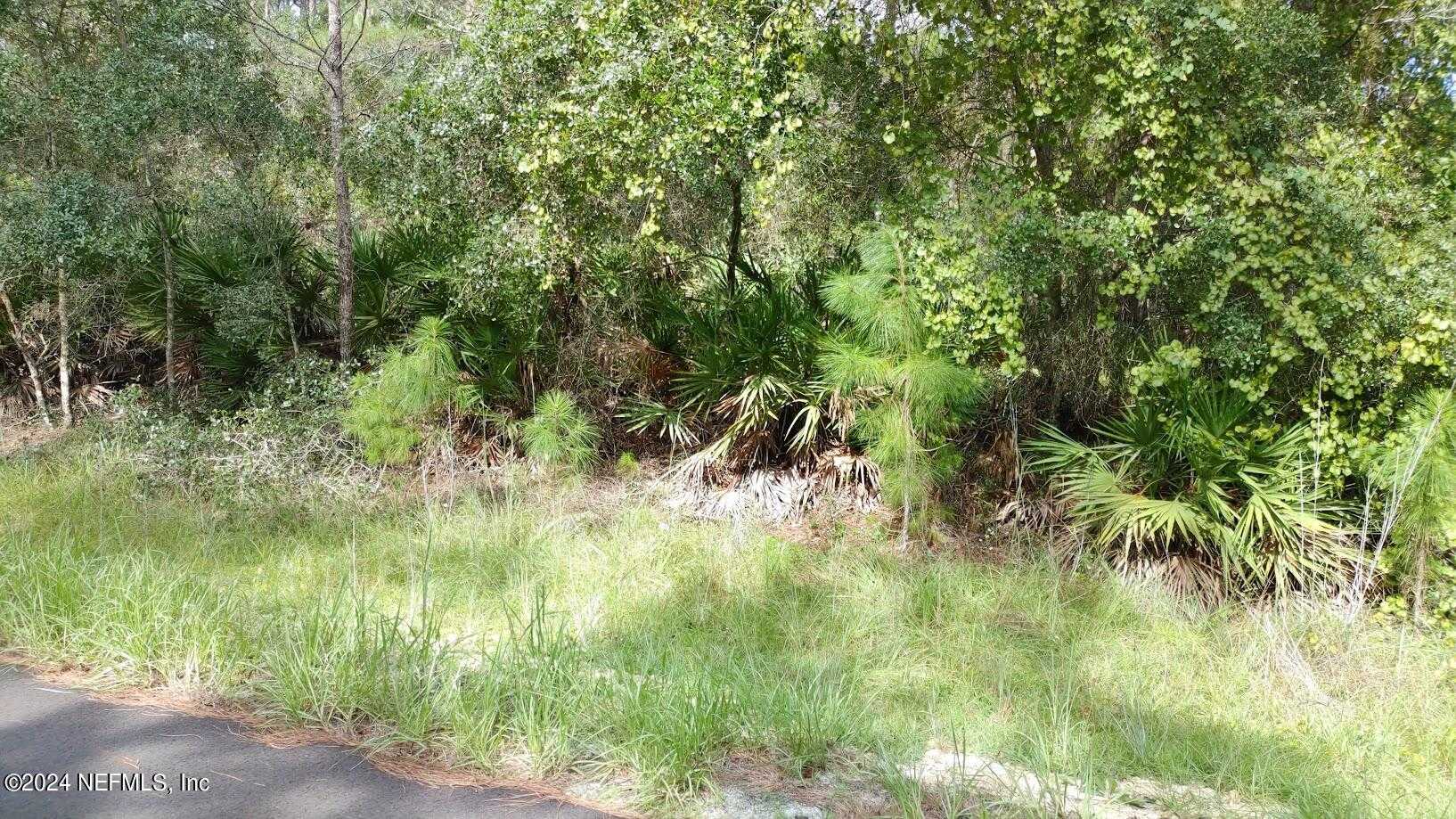 photo 3: 118 TEQUESTA Trail, Georgetown FL 32139