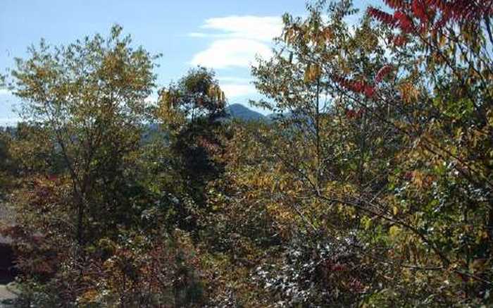 photo 1: Mountain Drive, Hiawassee GA 30546