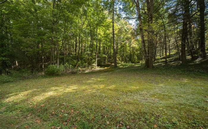 photo 2: 14.39 Ac Rock Creek Road, Cherry Log GA 30522